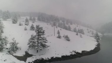 Kar fırtınası, kar yağışı, kış mevsiminde göl koyunda. Hava aracı atışı. Durgun su, karlı orman.