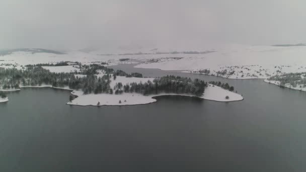 Zimą Jezioro Śnieg Spokojna Woda Sosny Piękny Zimowy Krajobraz Strzał — Wideo stockowe