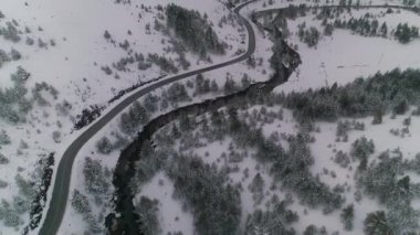 Kışın yol. Kar, soğuk, çam ağaçları. Hava aracı atışı. Yılan gibi kıvrılarak kışı geçiriyor..