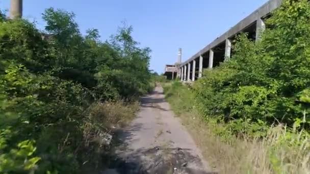 Caminho Abandonado Passarela Fadas Exploração Urbana Uma Fábrica Química Abandonada — Vídeo de Stock