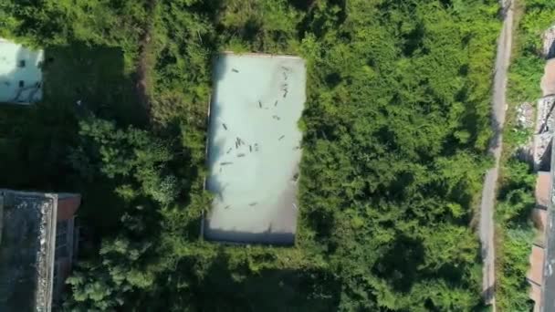 Letecký Dron Zastřelený Jedovatými Toxickými Skupinami Chemikálií Továrně Viskoza Loznica — Stock video