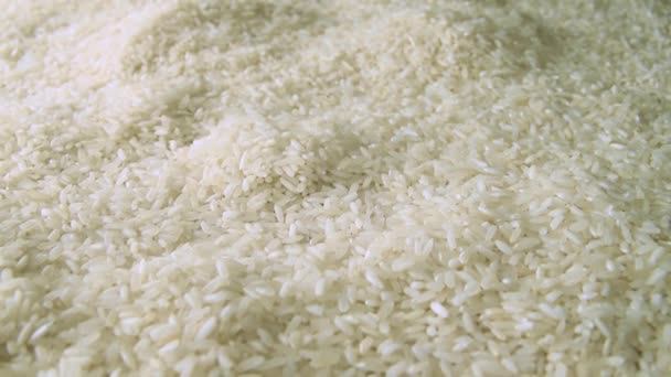 Rice Grains Everywhere Camera Moving Forwards White Seeds Close Macro — Video Stock
