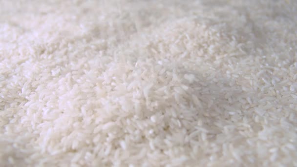 Rice Grains Falling Slow Motion Close Macro Shot — стоковое видео