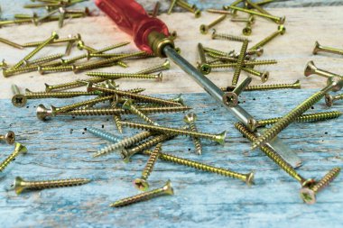Screwdriver and brass wood screws around it. Reclaimed wood table.Screwdriver lying on a table with lots of wood screws lying around it. Table made of reclaimed old vintage wood. Woodworm holes