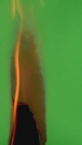 Groen Scherm Vertical Branden Zwart Achter Achtergrond 60Fpsverticaal Groen Scherm — Stockvideo