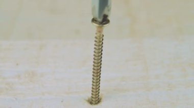 Elektrikli alet pirinçten bir vidayı tahta bir kalasa sokuyor. Makro atış. Makro elektrikli bir aletin beyaz tahta bir çiviye vidalanması. Parlak, mutlu, yüksek anahtarlı, 60 fps tornavidayla çekilmiş.