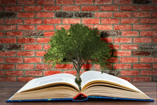 Livro Desdobrado Árvore Conhecimento Contra Uma Parede Tijolo — Fotografia de Stock