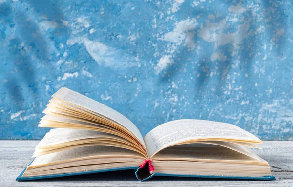Egy Nyitott Könyv Szürke Felületen Kék Háttérrel Leveles Ágak Árnyékával — Stock Fotó