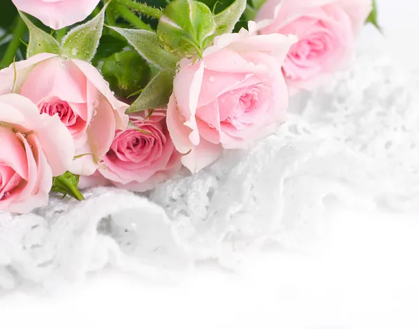 Schöne Rosen im Retro-Stil — Stockfoto