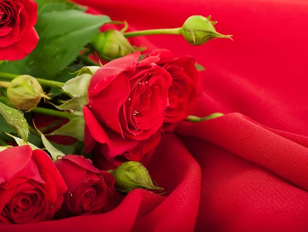 Vackra rosor i retrostil — Stockfoto