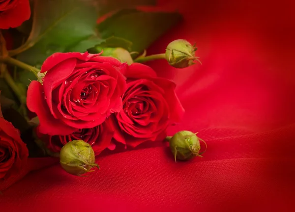 Schöne Rosen im Retro-Stil — Stockfoto