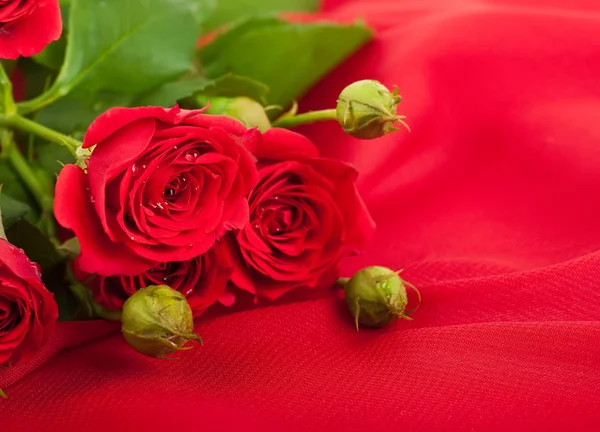 美丽的玫瑰在复古风格 — 图库照片