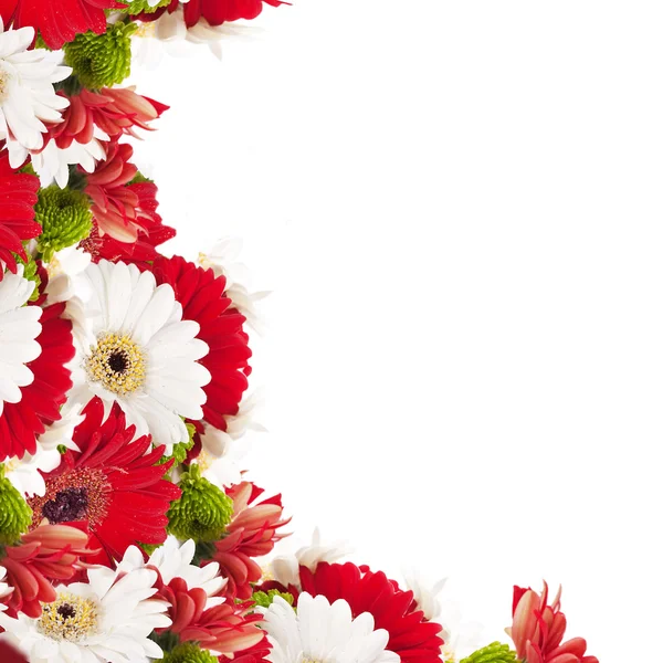 Bílé a červené květy, kytice gerber — Stock fotografie