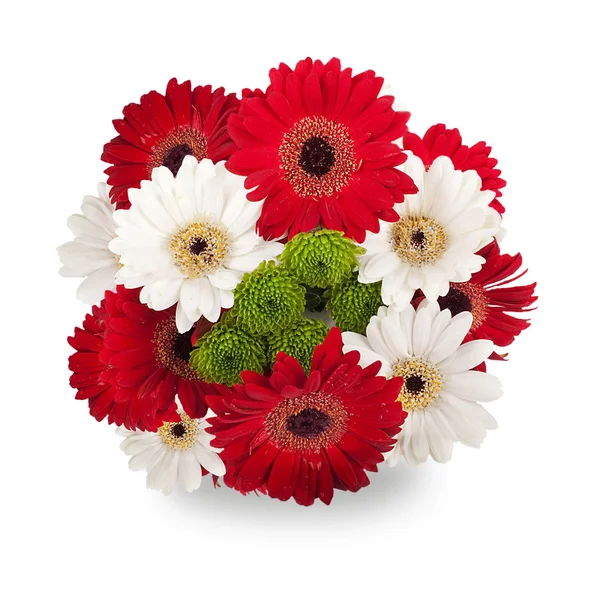 Κόκκινα και άσπρα λουλούδια, μπουκέτο gerber — Φωτογραφία Αρχείου