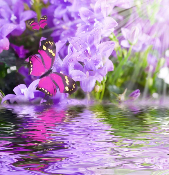 Çiçek ve batterfly, koyu mavi el çan — Stok fotoğraf