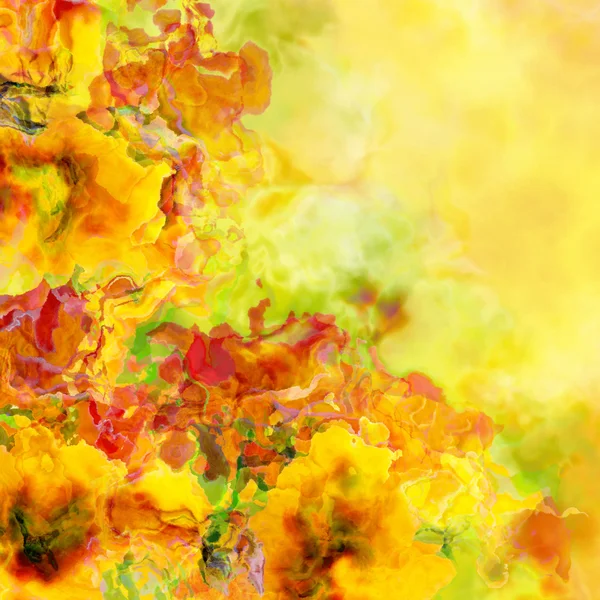 güzel çiçektir: ışık ışınları