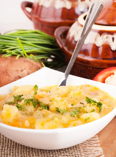 Potatis med kött och svamp i en gryta hemlagad — Stockfoto
