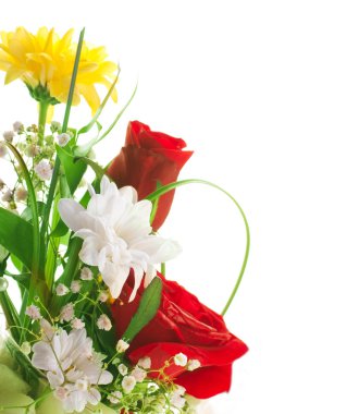 güzel çiçektir: ışık ışınları