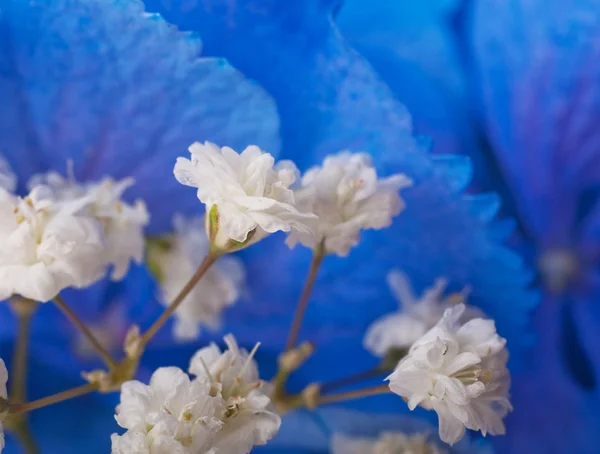 Flores en un ramo — Foto de Stock