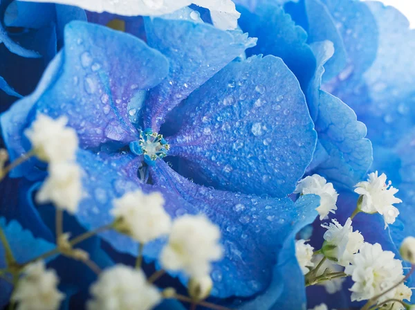 Flowers in a bouquet — Stock Photo, Image