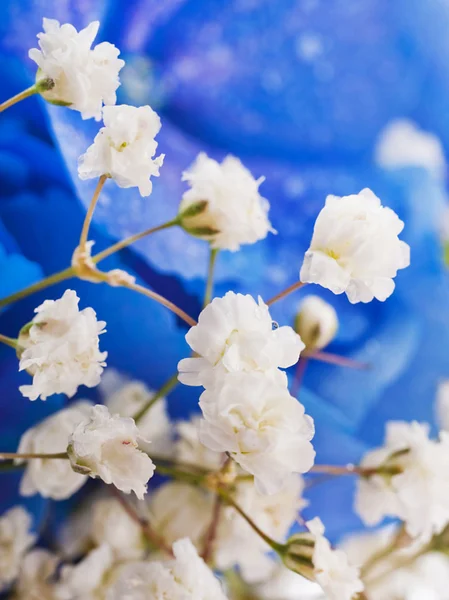 Bloemen in een boeket — Stockfoto