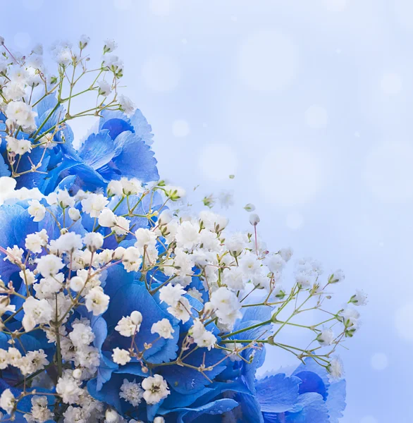 Flowers in a bouquet — Stock Photo, Image