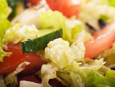 Salad from fresh green-stuffs and cheese with spices