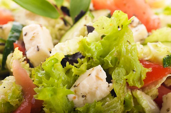 Салат из свежих зеленых продуктов и сыра со специями — стоковое фото