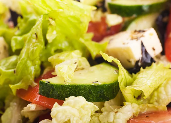Salat aus frischem Grünzeug und Käse mit Gewürzen — Stockfoto