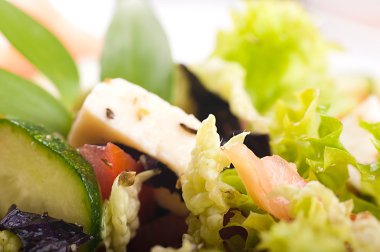 Salad from fresh green-stuffs and cheese with spices