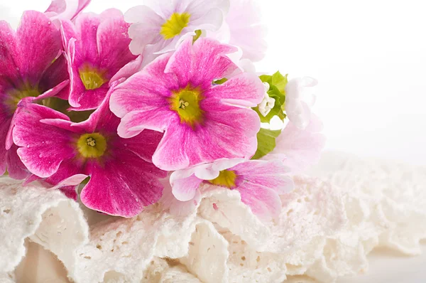 Una primula primaverile è in un bouquet, sfondo floreale — Foto Stock