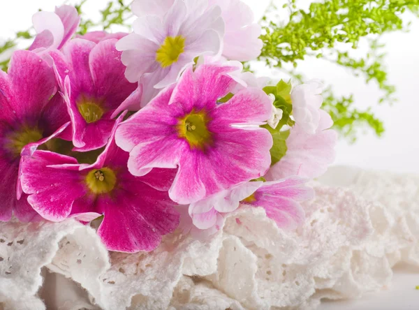 A spring primrose is in a bouquet, floral background — Stock Photo, Image