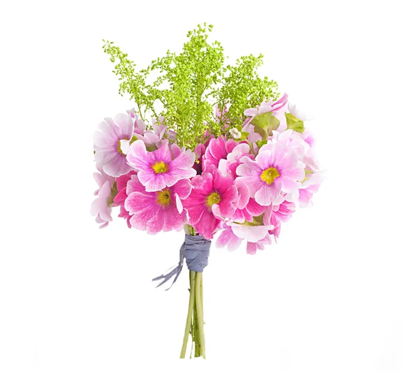 Prvosenka jarní je v kytice, květinové pozadí — Stock fotografie