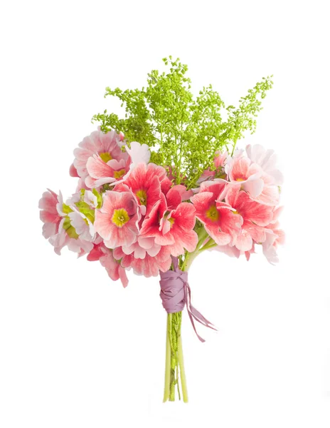 En vårprimula er i en bukett med blomsterbakgrunn. – stockfoto