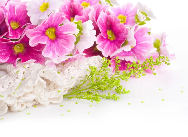 A spring primrose is in a bouquet, floral background — Stock Photo, Image