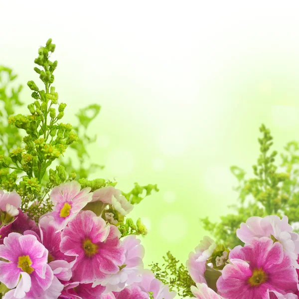 Uma prímula de primavera está em um buquê, fundo floral — Fotografia de Stock