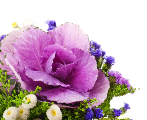 Kapusta dekoracyjna wiosną jest w bukiet kwiatowy tło — Zdjęcie stockowe