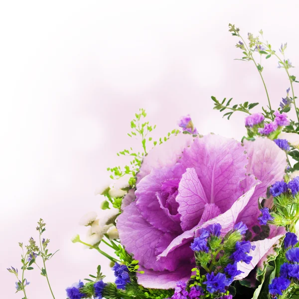 En vårdekorativ kål er i en bukett med blomsterbakgrunn. – stockfoto