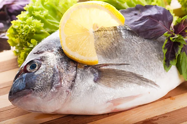 Fresh fish of dorado on a frying pan with a lemon and olive oil — Stock Photo, Image