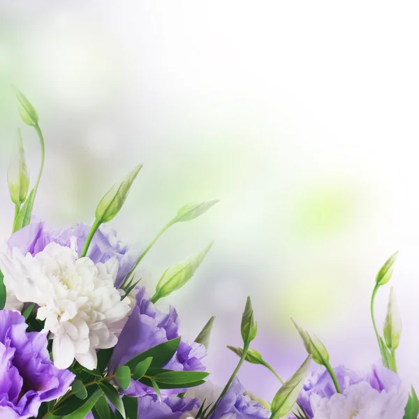 Bridal bouquet from white and pink flowers — Stock Photo, Image