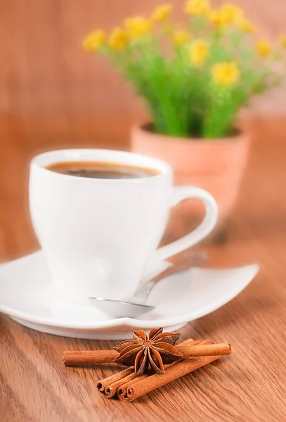 Sticks of cinnamon and an anisic star on coffee grains — Stock Photo, Image