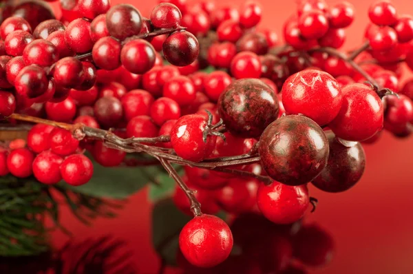 Christmas card with berries and a fir-tree branch — Stock Photo, Image