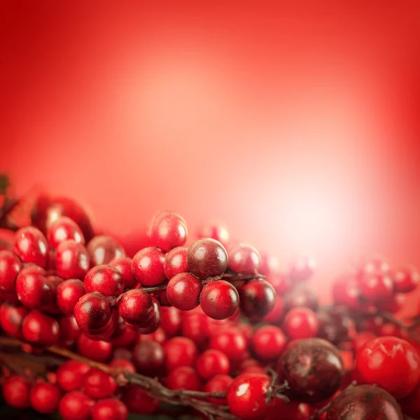 Christmas card with berries and a fir-tree branch — Stock Photo, Image