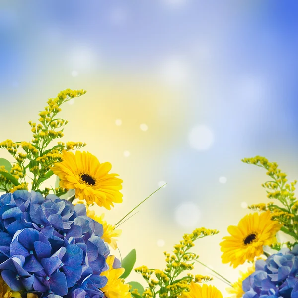 从蓝色绣球花和黄色的灾难，花卉背景的花束 — 图库照片