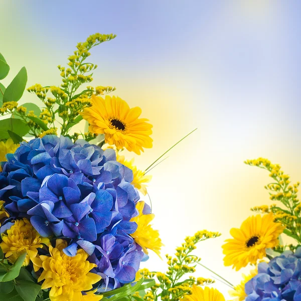 Boeket van blauwe hortensia's en gele asters, een bloem achtergrond — Stockfoto