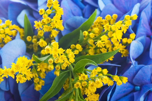 Bouquet from blue hydrangeas and yellow asters, a flower background — Stock Photo, Image