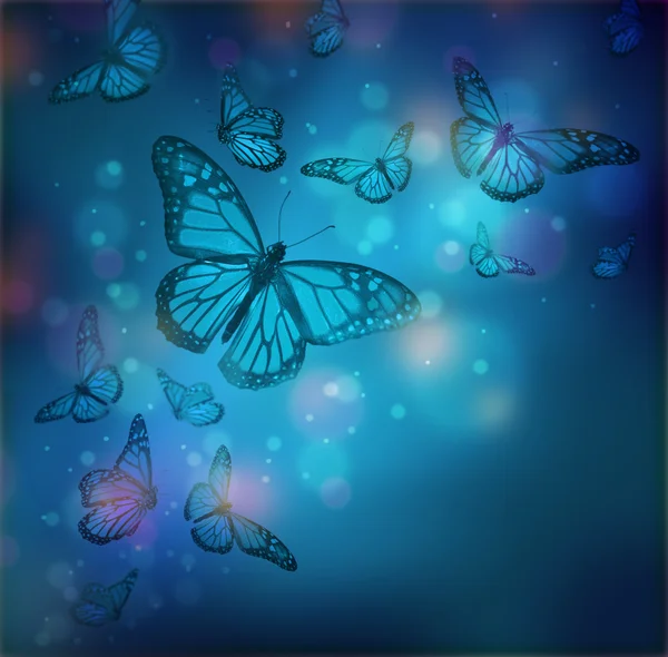 Voo de borboletas está nos raios de luz — Fotografia de Stock