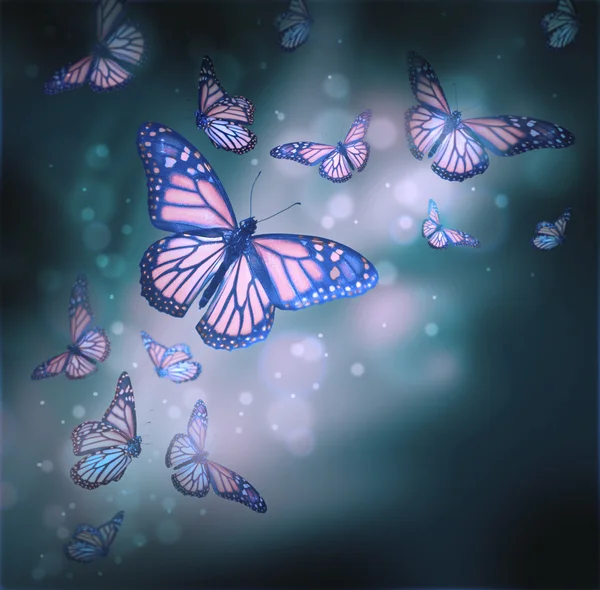 Flyg av fjärilar är i strålar av ljus — Stockfoto