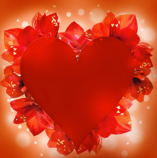 Dia de São Valentim, coração de orquídeas e borboletas — Fotografia de Stock