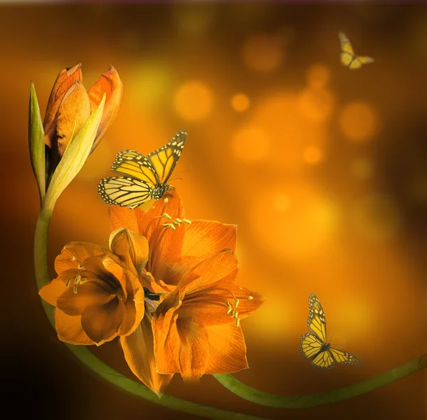 Orchids and Butterflies — Stock Photo, Image